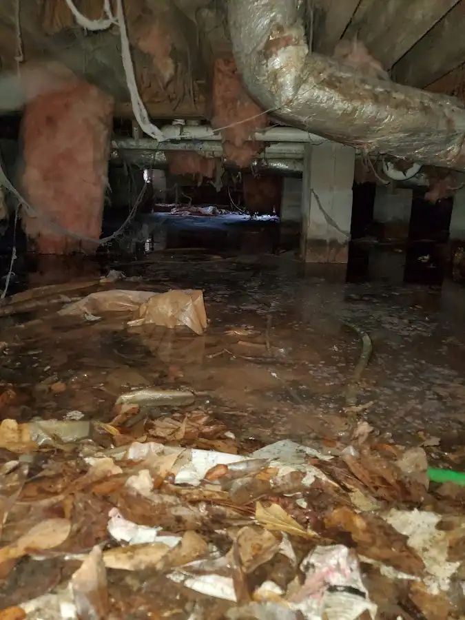 Crawl space flood assessment for Leak Detection & Repair in Greenbrier