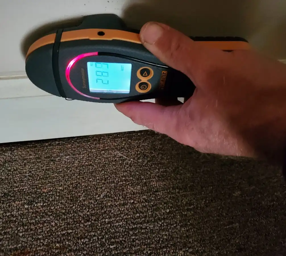 Moisture detection at baseboard during Sewage Cleanup & Sanitation in Greenbrier